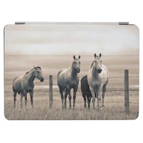 Quarter Horses On Canadian Prairie iPad Air Cover