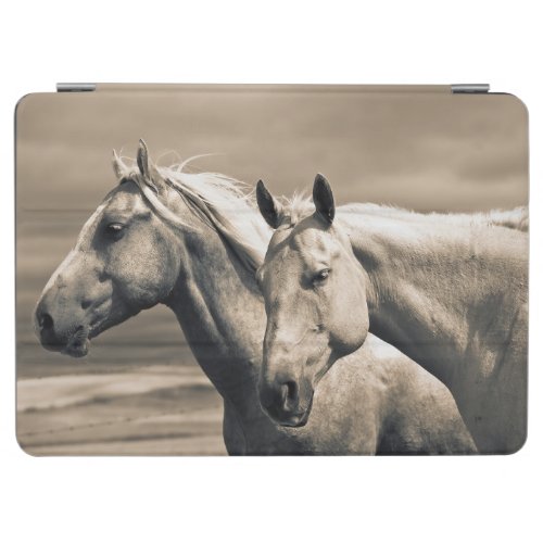 Quarter Horses On Canadian Prairie iPad Air Cover