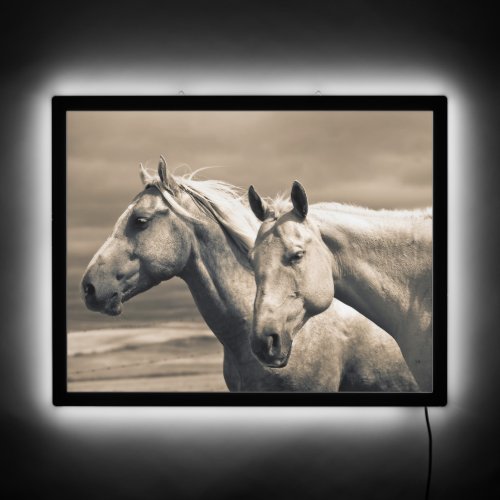Quarter Horses On Canadian Prairie LED Sign