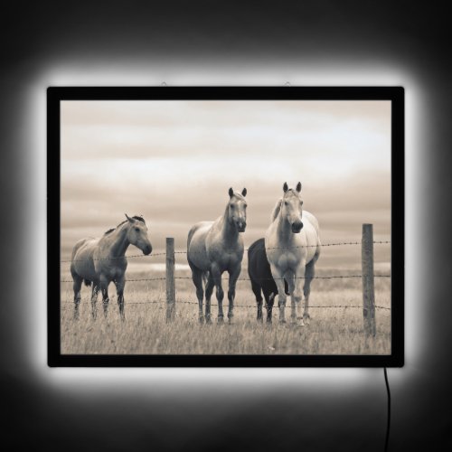 Quarter Horses On Canadian Prairie LED Sign