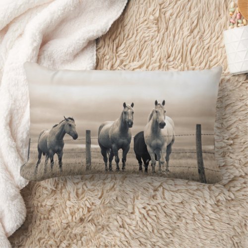 Quarter Horses On Canadian Prairie Lumbar Pillow