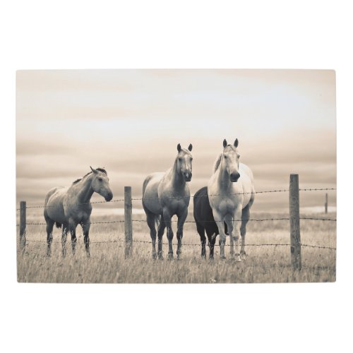 Quarter Horses On Canadian Prairie Metal Print
