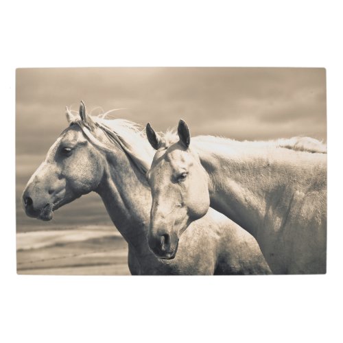 Quarter Horses On Canadian Prairie Metal Print