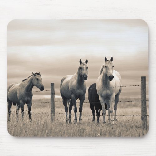 Quarter Horses On Canadian Prairie Mouse Pad