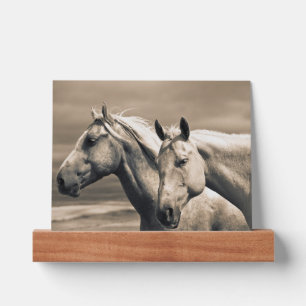 Quarter Horses On Canadian Prairie Picture Ledge