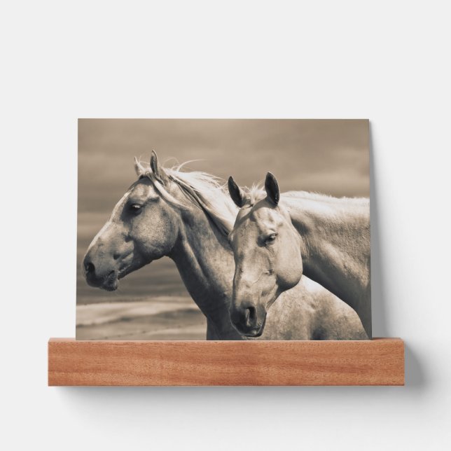 Quarter Horses On Canadian Prairie Picture Ledge (Front)
