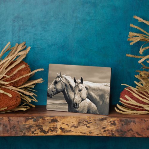 Quarter Horses On Canadian Prairie Plaque