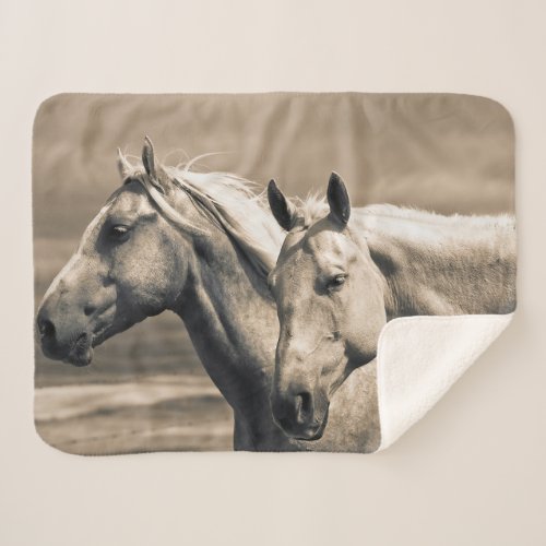 Quarter Horses On Canadian Prairie Sherpa Blanket