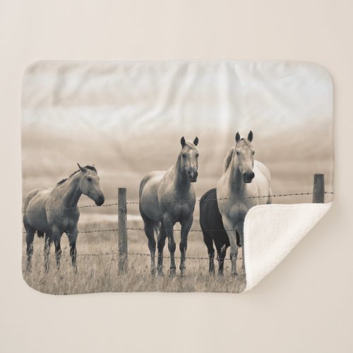 Quarter Horses On Canadian Prairie Sherpa Blanket