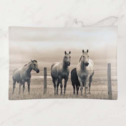 Quarter Horses On Canadian Prairie Trinket Tray