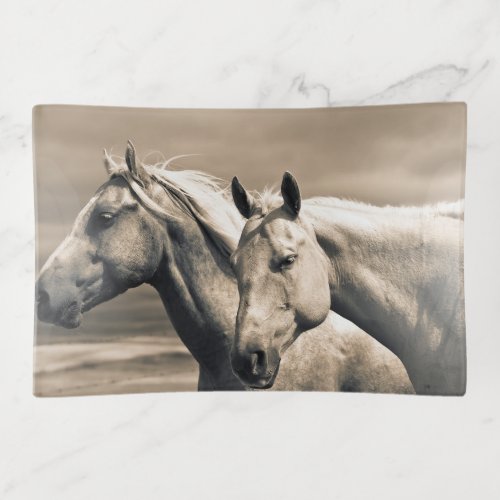 Quarter Horses On Canadian Prairie Trinket Tray