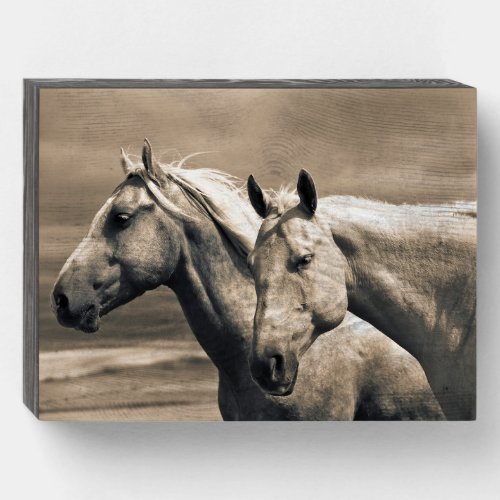Quarter Horses On Canadian Prairie Wooden Box Sign