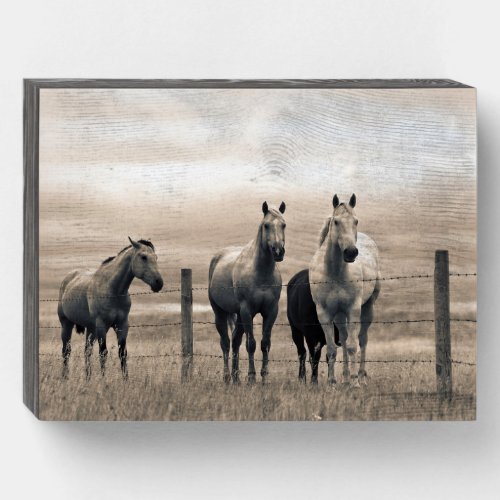 Quarter Horses On Canadian Prairie Wooden Box Sign