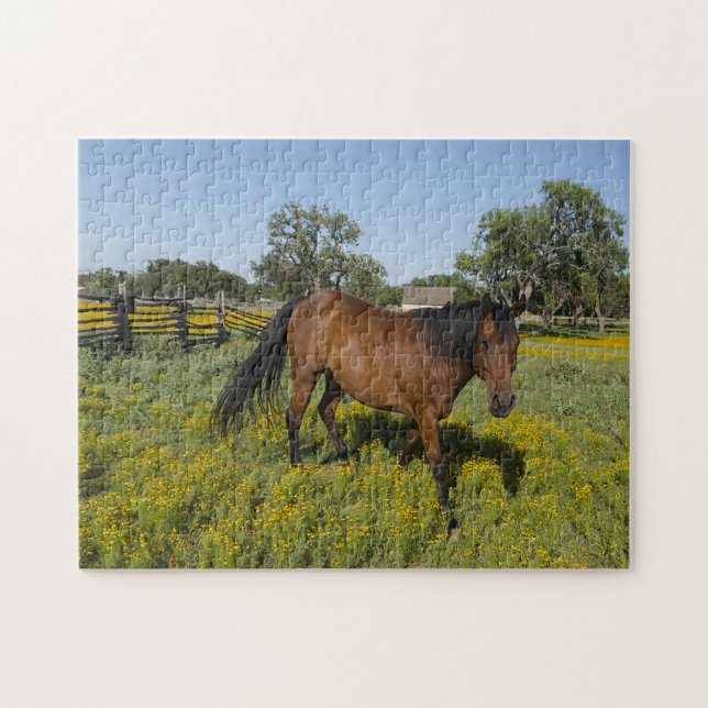 Quarter Horses Texas. Jigsaw Puzzle (Horizontal)