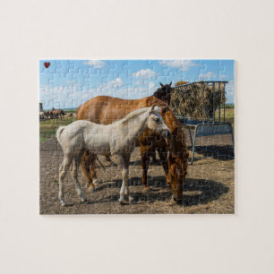 Quarter Horses Texas Jigsaw Puzzle
