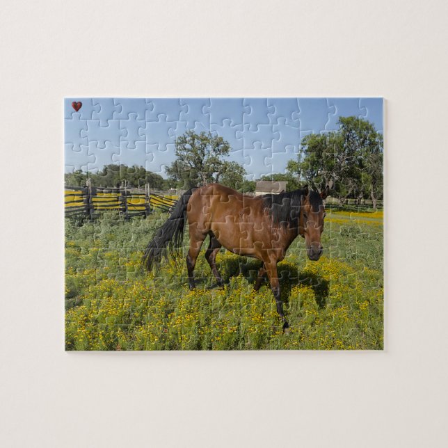 Quarter Horses Texas Jigsaw Puzzle (Horizontal)
