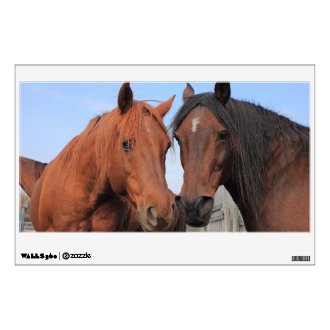 Quarter Horses Wall Decal (Front)