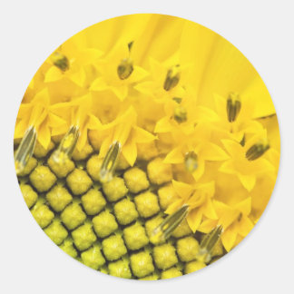 quarter sun classic round sticker