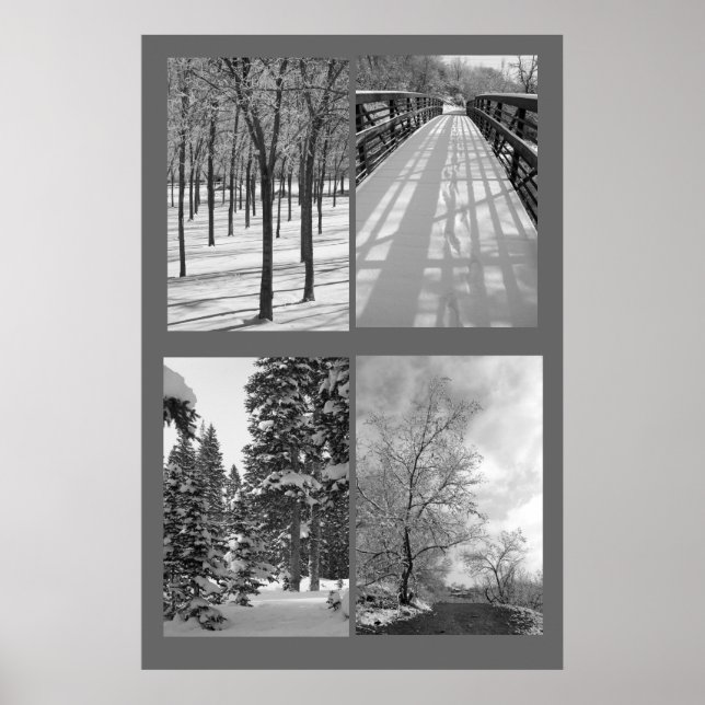 Quartet Black and White Nature Poster (Front)
