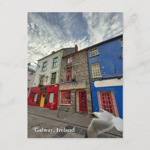 Quay Street in Latin Quarter Galway Ireland 2 Postcard