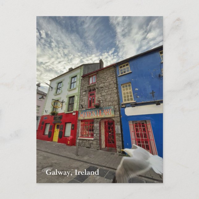Quay Street in Latin Quarter, Galway Ireland 2 Postcard (Front)