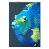 Queen Angel fish (Front)