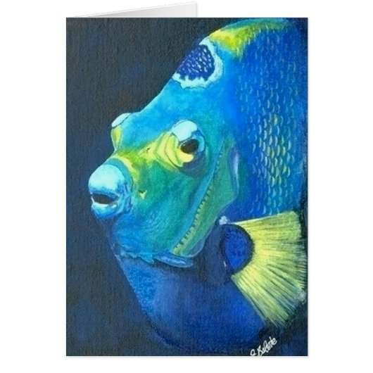 Queen Angel fish Cards (Front)