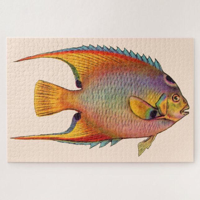 queen angelfish jigsaw puzzle (Horizontal)