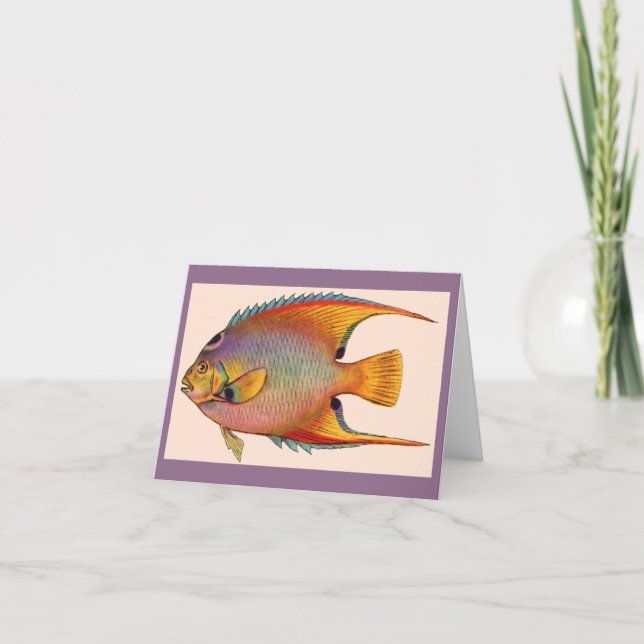 queen angelfish note card (Front)