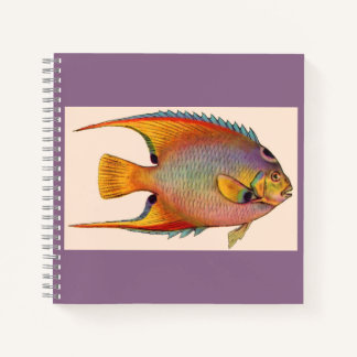queen angelfish notebook