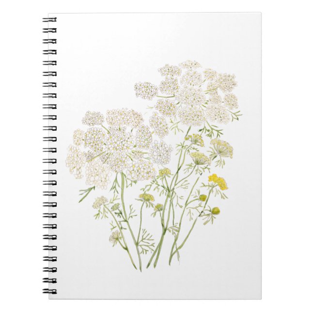 Queen Ann Lace ink and watercolor painting Notebook (Front)