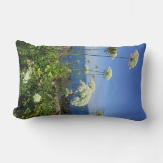 Queen Anne Lumbar Pillow