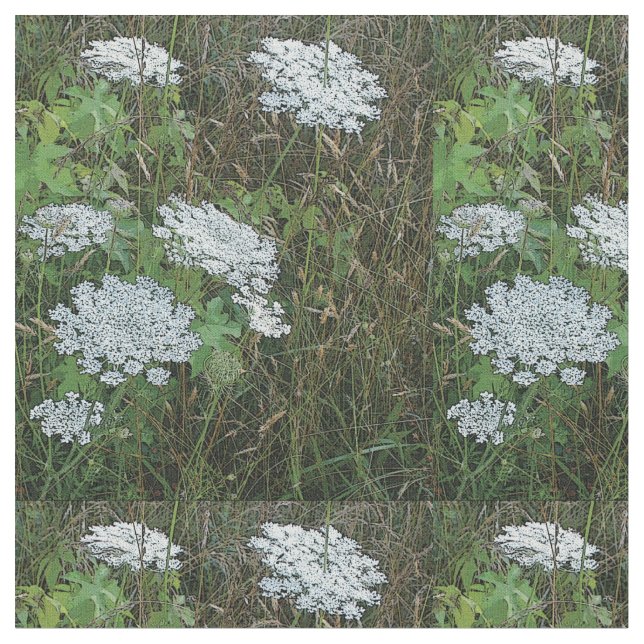 Queen Anne’s Lace White Wild Flower Fabric (Close Up)
