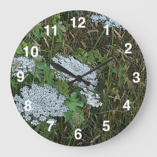 Queen Annes Lace White Wild Flower Large Clock
