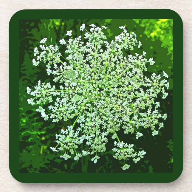 Queen Annes Lace Beverage Coaster (Front)
