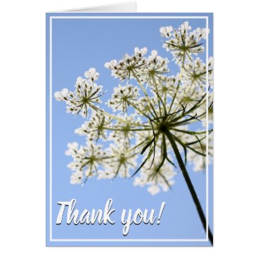 Queen Anne's Lace & Blue Sky Thank You Card Queen Anne's Lace & Blue Sky Thank You Card