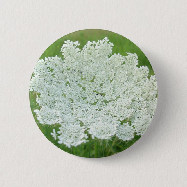 Queen Annes Lace Button (Front)