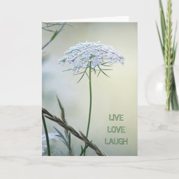Queen Anne's Lace Card by camcguire at Zazzle
