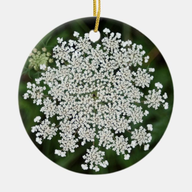 queen anne's lace ceramic ornament (Front)