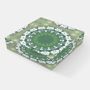 Queen Anne's Lace Flower Abstract Floral Green Paperweight