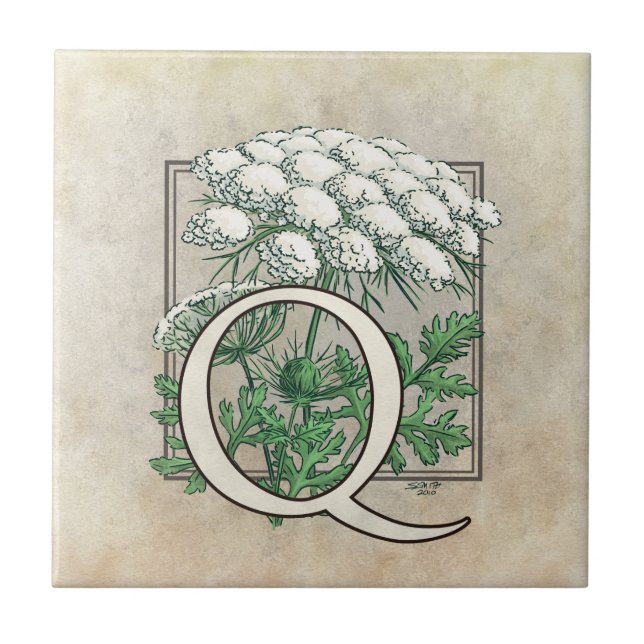 Queen Anne's Lace Flower Floral Monogram Ceramic Tile (Front)