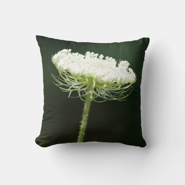 Queen Anne's Lace Flower Throw Pillow (Front)