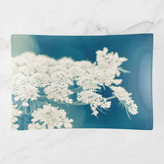 Queen Anne's Lace Flower Wildflowers Trinket Tray (Front)