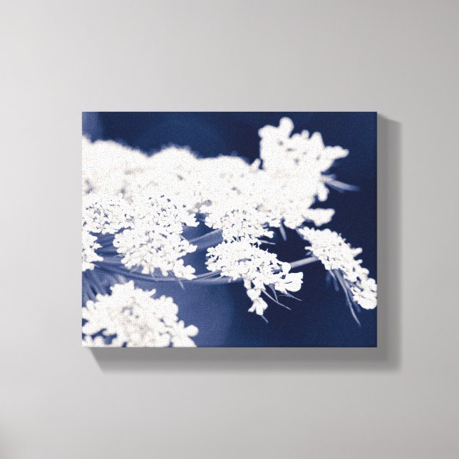 Queen Anne's Lace Flowers Wrapped Canvas Print (Front)