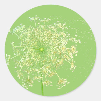 Queen Anne's Lace Gifts and Favors Classic Round Sticker