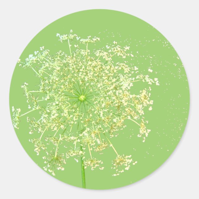 Queen Anne's Lace Gifts and Favors Classic Round Sticker (Front)