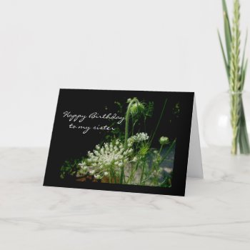 Queen Anne's Lace Happy Birthday Sister Card by CarolsCamera at Zazzle