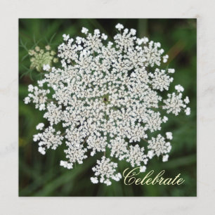 Queen Anne's Lace Invitation