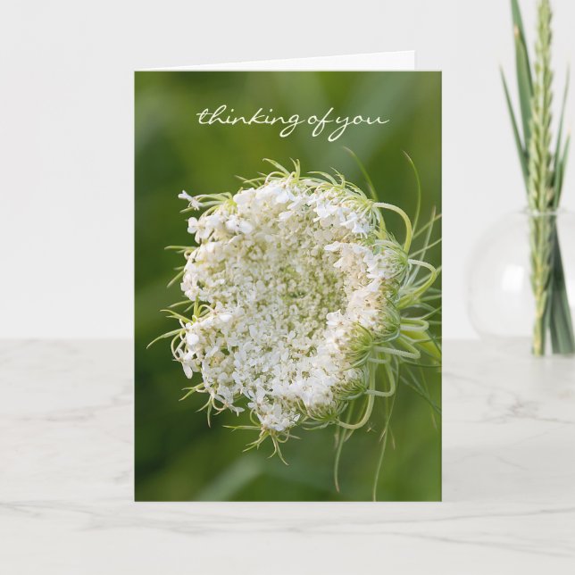 Queen Anne's Lace macro Card (Front)