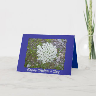 Queen Anne's Lace Mother's Day Card